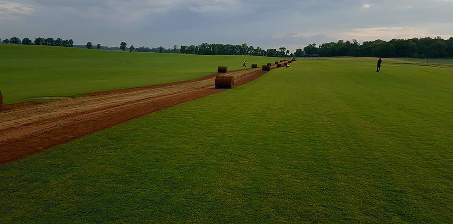 Farm Fresh Green Sod