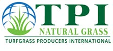 TPI Natural Grass