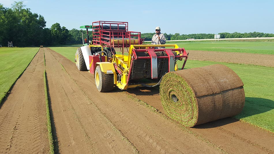 Project Gallery Grassmasters Sod Farms