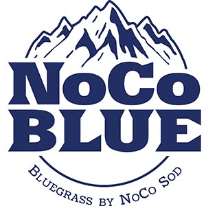 NoCo Blue - Bluegrass by NoCo Sod