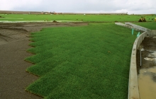 Convention Center; RTF Sod